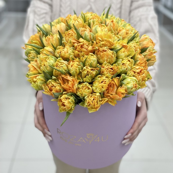51 желтый пионовидный тюльпан Орка в коробке