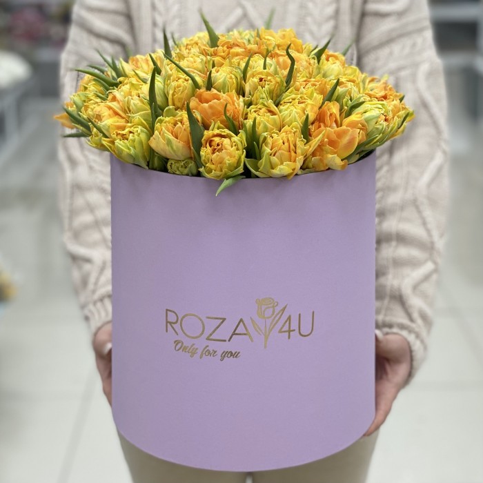 51 желтый пионовидный тюльпан Орка в коробке