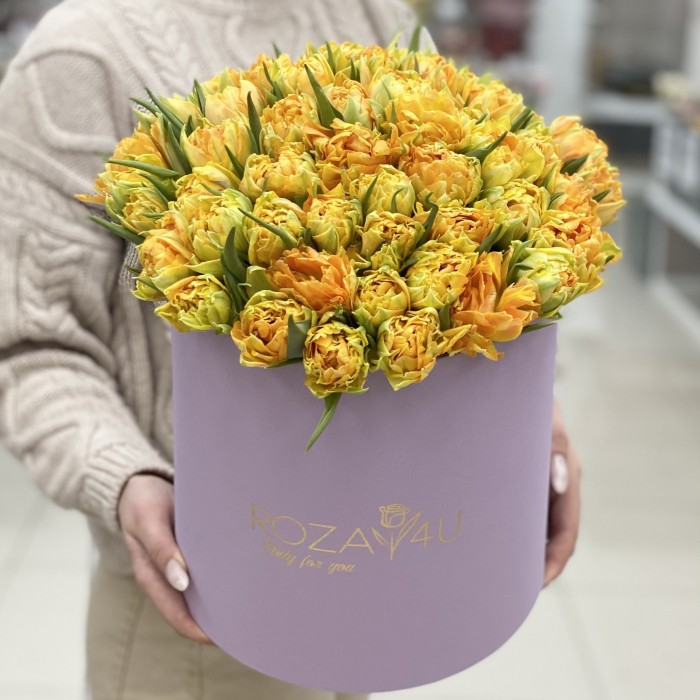 51 желтый пионовидный тюльпан Орка в коробке