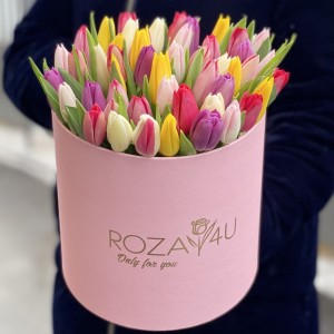 51 тюльпан яркий микс в розовой коробке