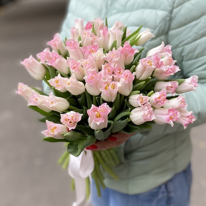 Тюльпан бело-розовый Краун (Co Crown Dynasty)