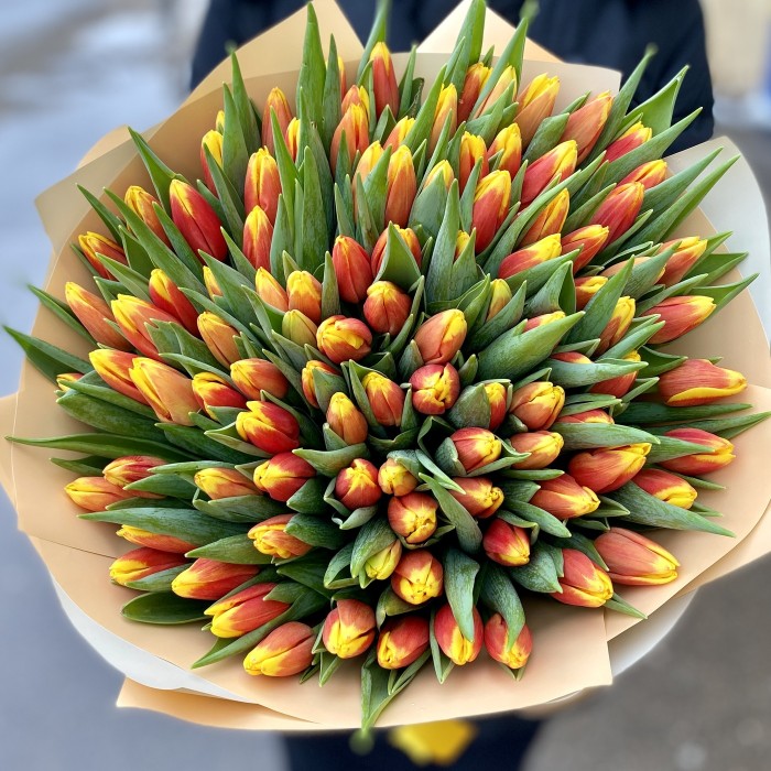 101 огненный тюльпан