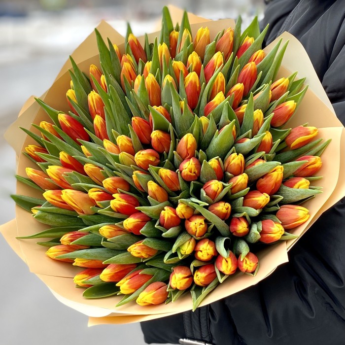 101 огненный тюльпан