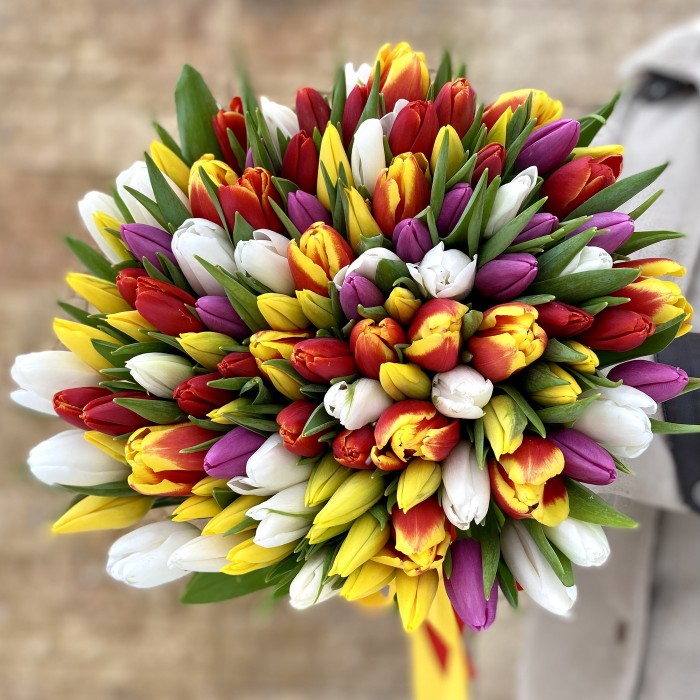 101 тюльпан яркий микс