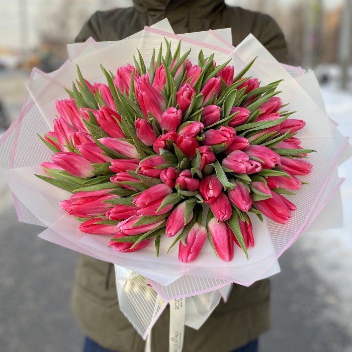 101 розовый тюльпан Bolroyal Pink