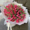 101 розовый тюльпан Bolroyal Pink