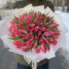 101 розовый тюльпан Bolroyal Pink