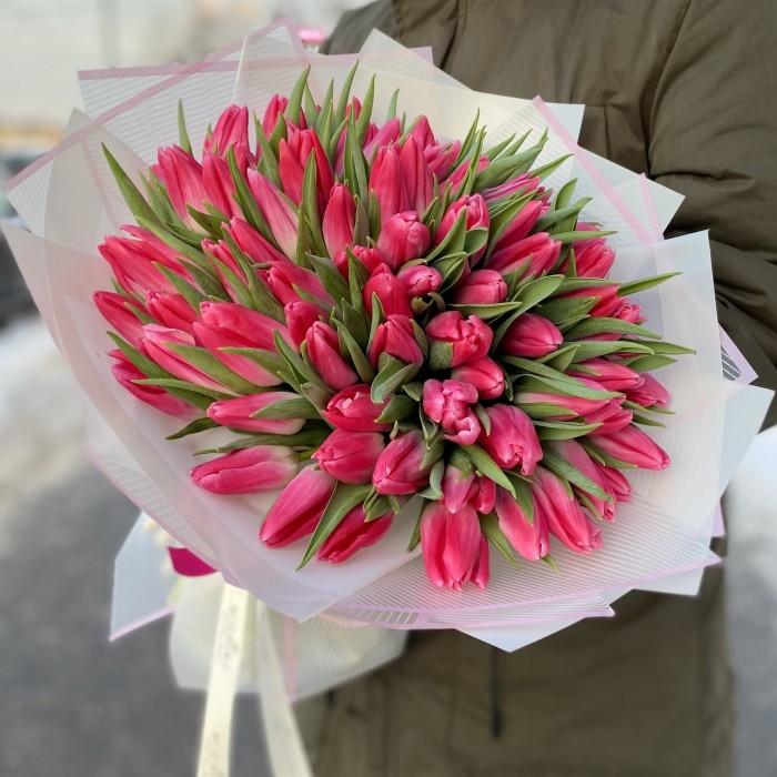 101 розовый тюльпан Bolroyal Pink