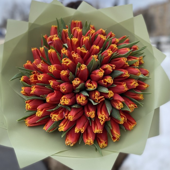 101 тюльпан Давенпорт