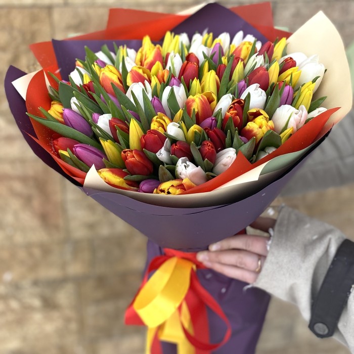 101 тюльпан яркий микс в упаковке
