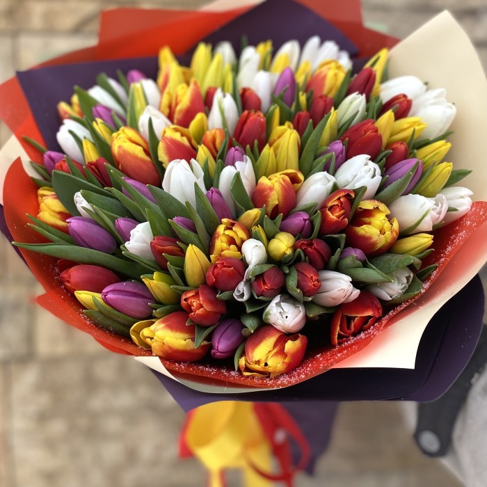 101 тюльпан яркий микс в упаковке