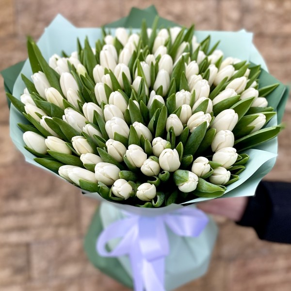 101 тюльпан белый