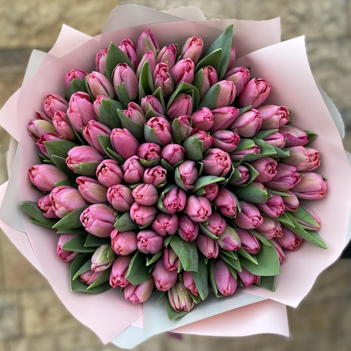 101 тюльпан розовый