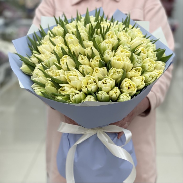 101 кремовый пионовидный тюльпан Авангард