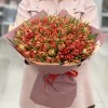 101 пионовидный тюльпан Абба