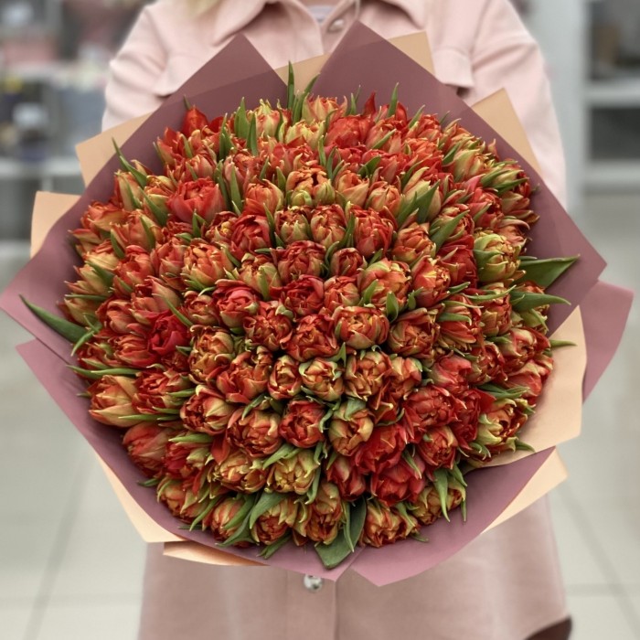 101 пионовидный тюльпан Абба