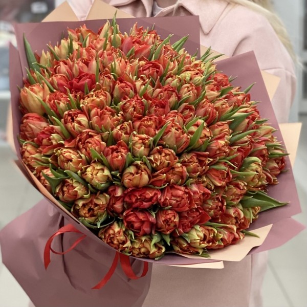 101 пионовидный тюльпан Абба