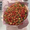 101 пионовидный тюльпан Абба