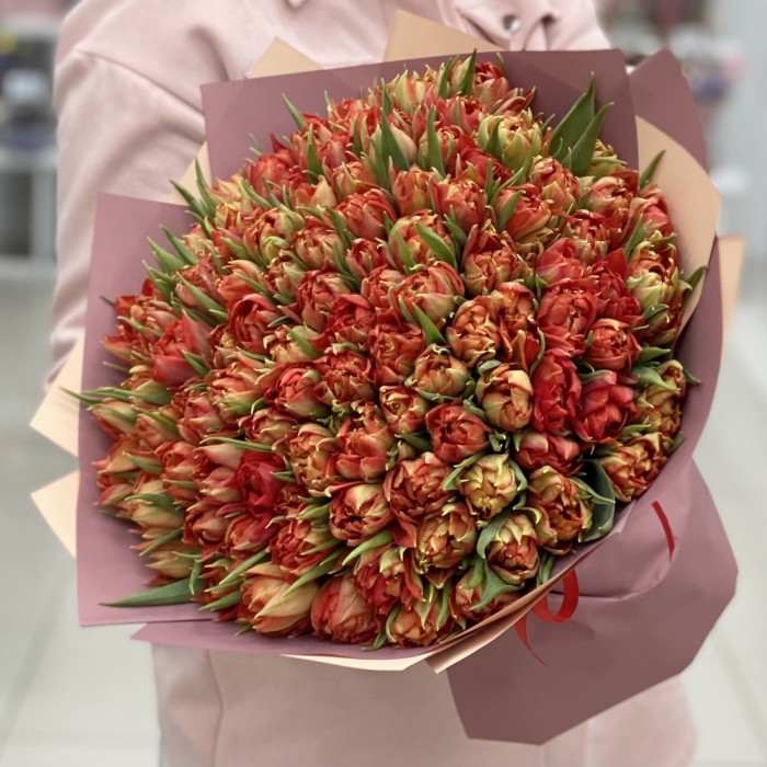 101 пионовидный тюльпан Абба