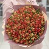 101 пионовидный тюльпан Абба