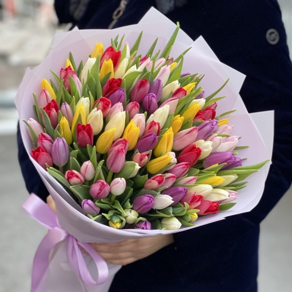 101 тюльпан яркий микс в упаковке
