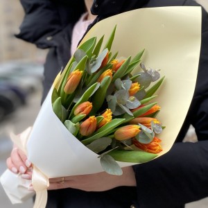 15 ярких тюльпанов Давенпорт