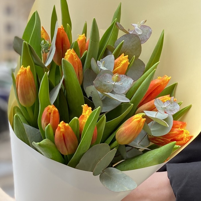 15 ярких тюльпанов Давенпорт