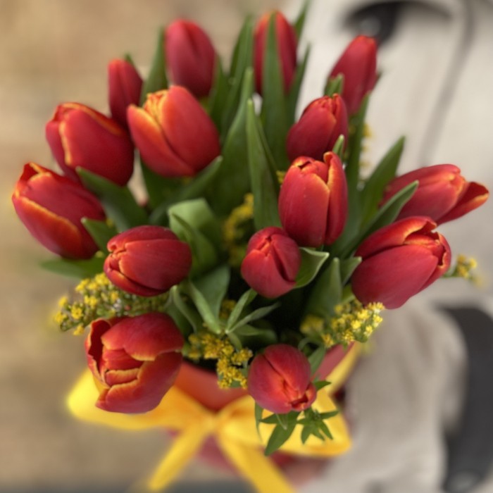 15 тюльпанов в красной коробке
