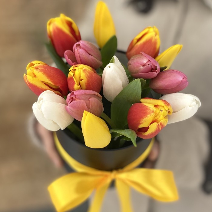 15 тюльпанов микс в коробке