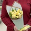 15 кремовых тюльпанов