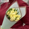 15 кремовых тюльпанов