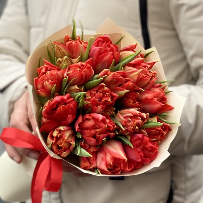 15 красных пионовидных тюльпанов Абба