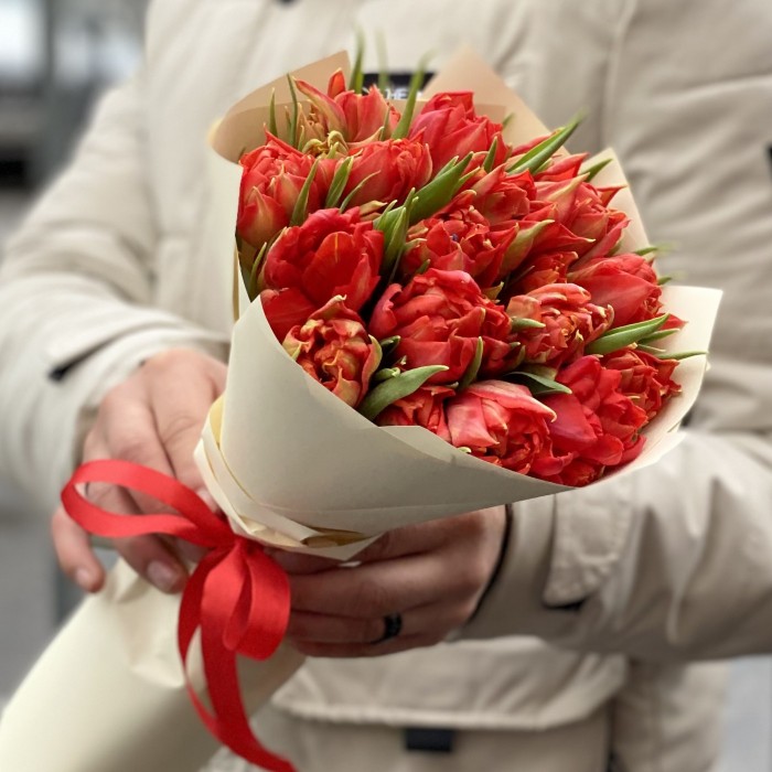 15 красных пионовидных тюльпанов Абба