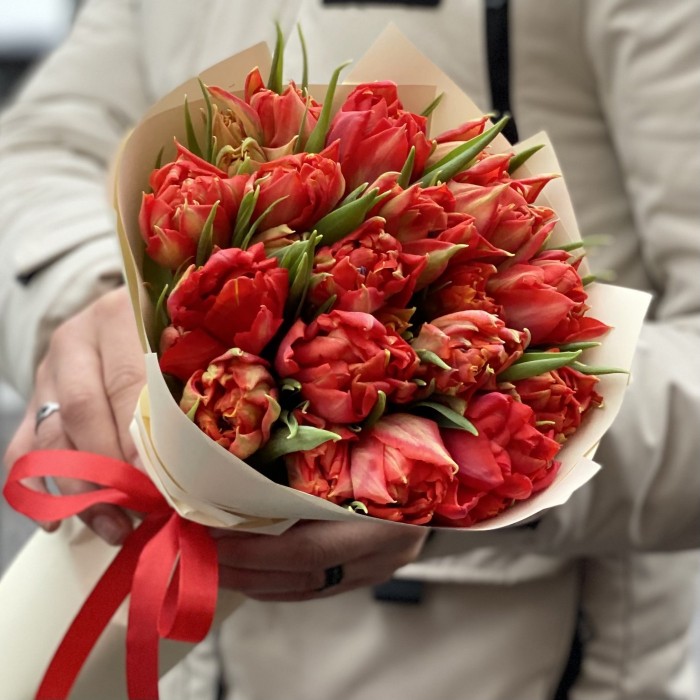 15 красных пионовидных тюльпанов Абба