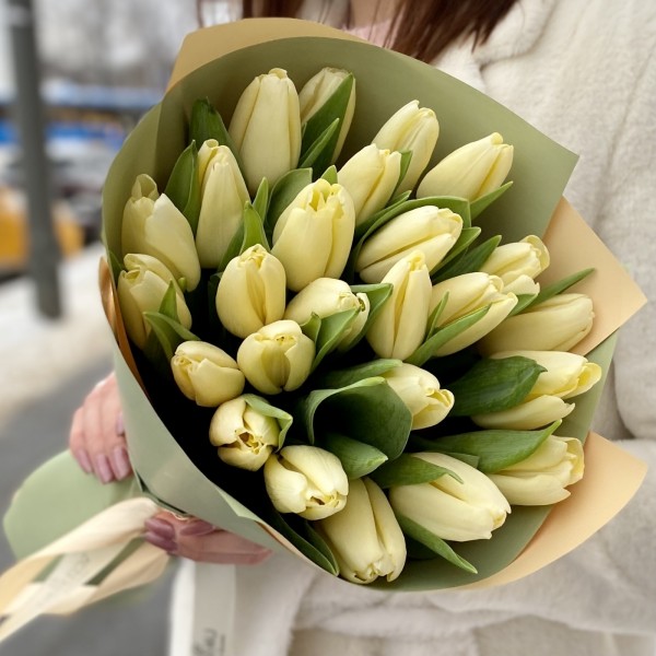 25 кремовых тюльпанов