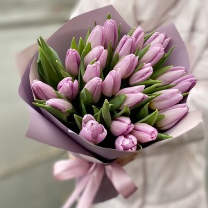 25 лиловых тюльпанов