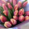 25 тюльпанов розовый фламинго