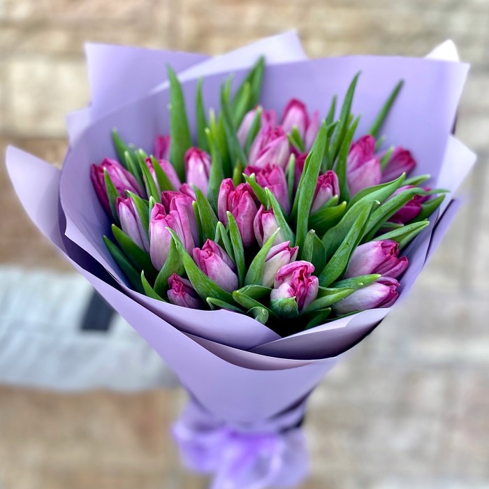 25 бело-фиолетовых тюльпанов