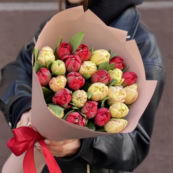 25 красных и кремовых пионовидных тюльпанов