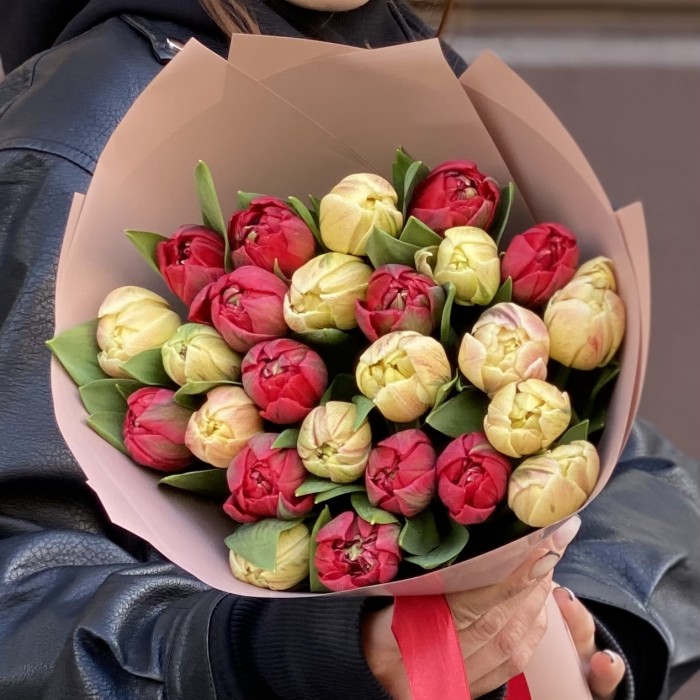 25 красных и кремовых пионовидных тюльпанов