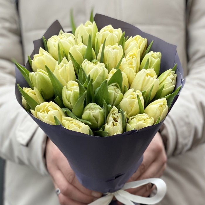 25 кремовых пионовидных тюльпанов Авангард