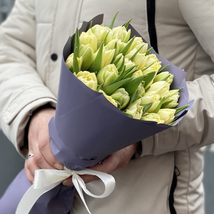 25 кремовых пионовидных тюльпанов Авангард