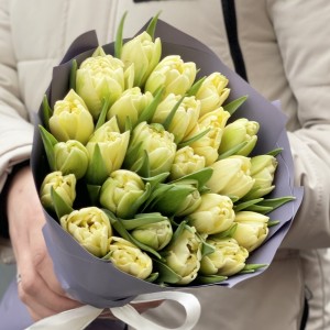 25 кремовых пионовидных тюльпанов Авангард