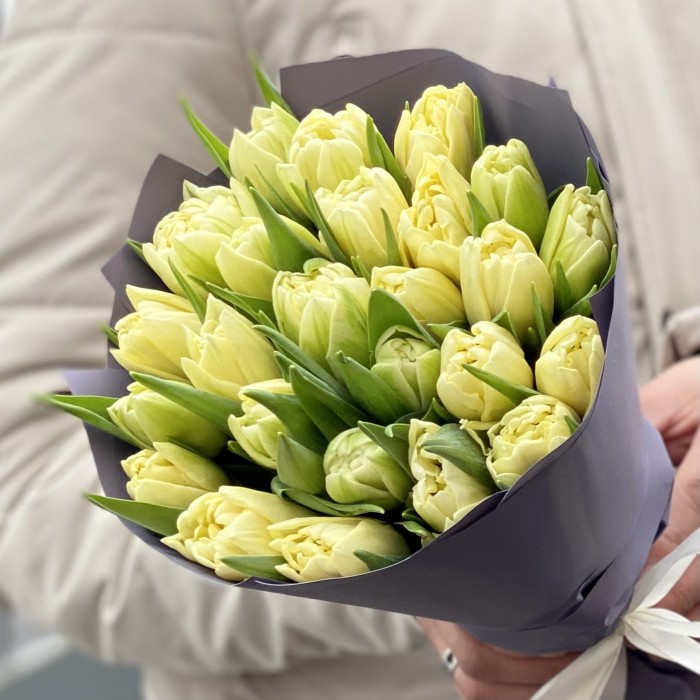 25 кремовых пионовидных тюльпанов Авангард