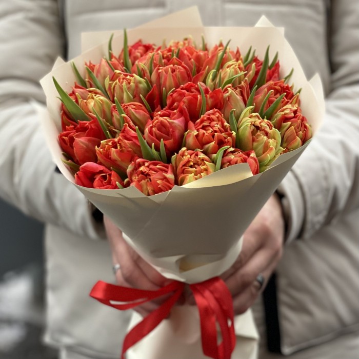 25 красных пионовидных тюльпанов Абба