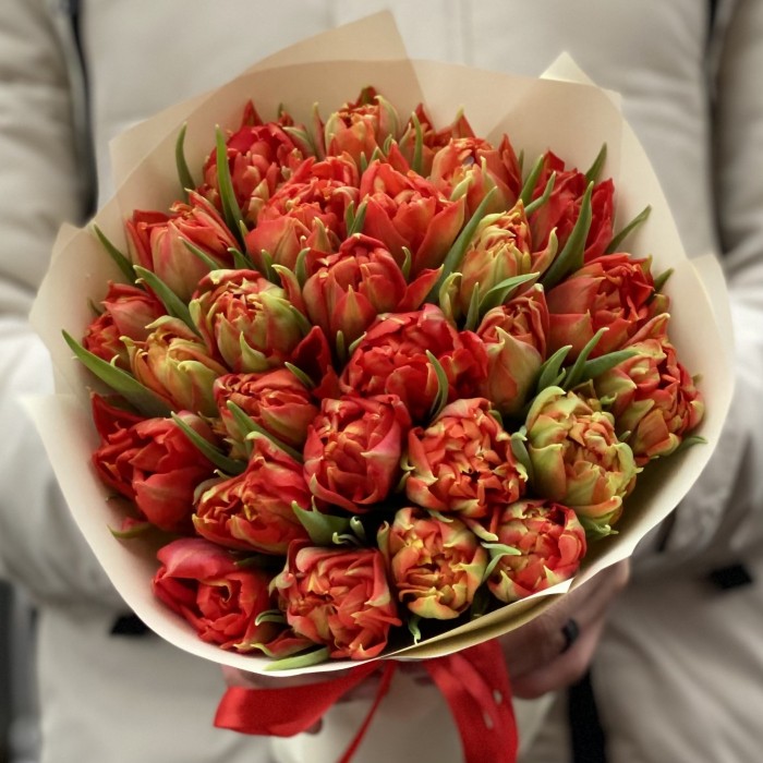 25 красных пионовидных тюльпанов Абба