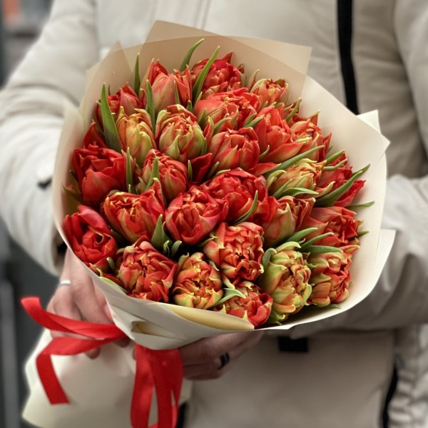 25 красных пионовидных тюльпанов Абба