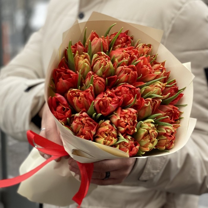 25 красных пионовидных тюльпанов Абба