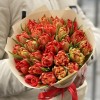25 красных пионовидных тюльпанов Абба