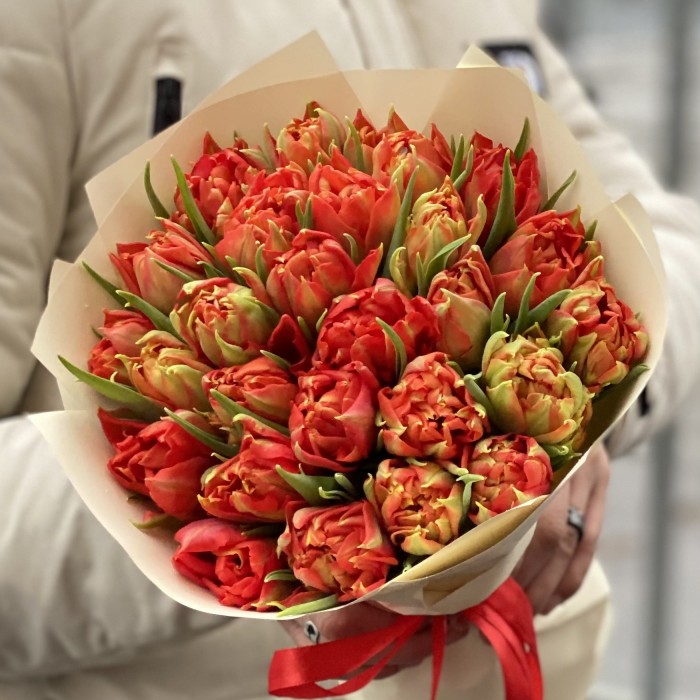 25 красных пионовидных тюльпанов Абба